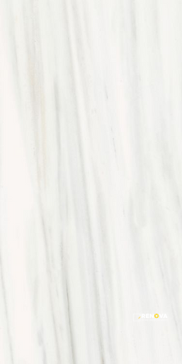 ORIGINES OMBRE DOREE MATTE 24" X 48" - ELYTIL1789 - 6