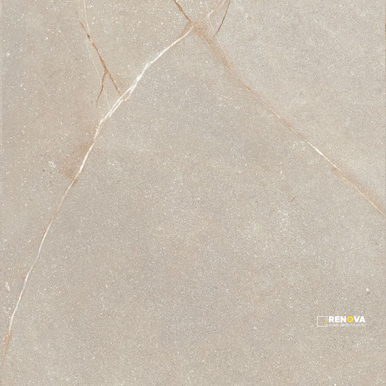 MADISON BONE 24" X 24" - ELYTIL1197