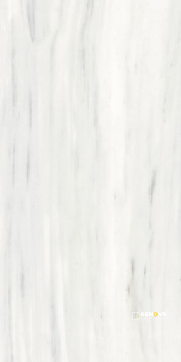 ORIGINES OMBRE DOREE MATTE 24" X 48" - ELYTIL1789 - 8