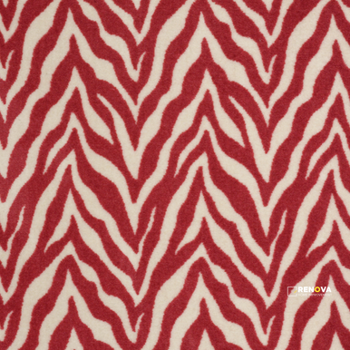 ZESTY ZEBRA - 4