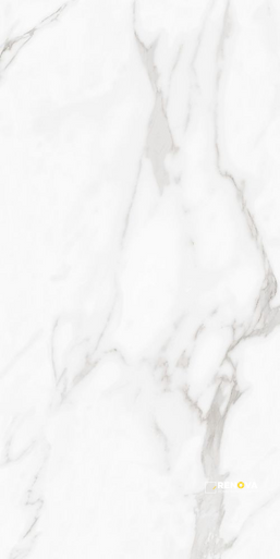 CARENZA BIANCA MATTE 24" X 48" - 3