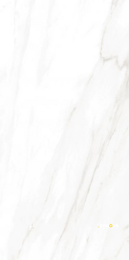 EC CALACATTA GOLD POLISHED 24" X 48" - ELYTIL1563