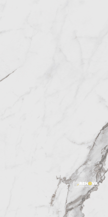 INDULGE MATTE 12" X 24" - 2