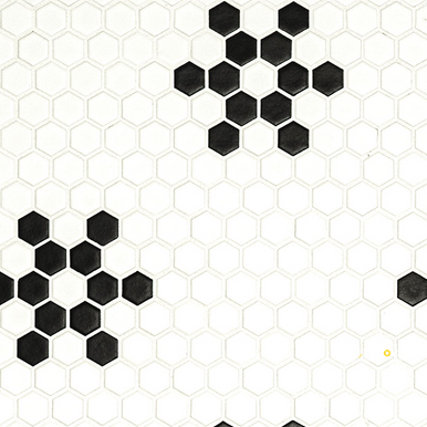 WHITE AND BLACK MOD PETAL PATTERN MATTE ( 14.55 SF PER BOX ) - 3