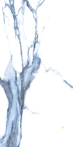 CALACATTA BLUE POLISHED 12" X 24" - 9