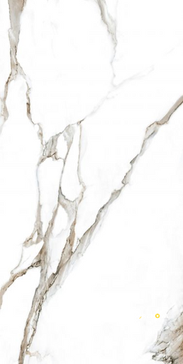 CALACATTA FANTASY TOPO POLISHED 24" X 48" - 8