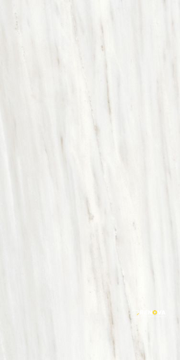 ORIGINES OMBRE DOREE GLOSSY 24" X 48" - ELYTIL1787 - 8
