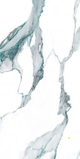 CALACATTA FANTASY GREEN POLISHED 24" X 48" - 5