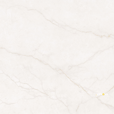 BRIGHTON GOLD 48X48 POLISHED ( 32 SF PER BOX )