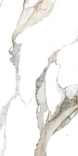 CALACATTA FANTASY TOPO POLISHED 24" X 48" - 7