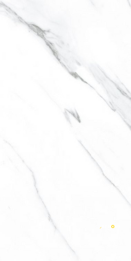 AGL CARRARA POLISHED 12" X 24" - 5