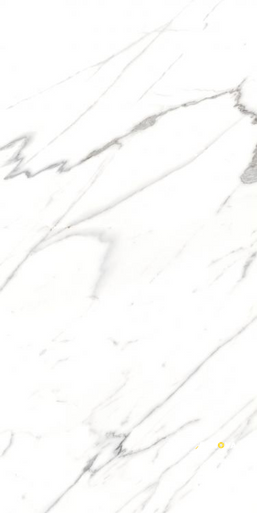 AGL CARRARA MATTE 24" X 48" - ELYTIL2553 - 4