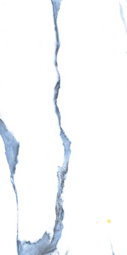 CALACATTA BLUE POLISHED 12" X 24" - 6