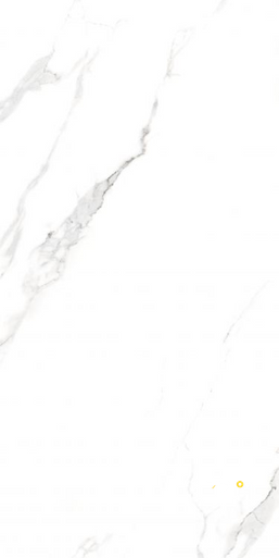 AGL STATUARIO MATTE 24" X 48" - ELYTIL2552 - 3