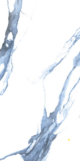 CALACATTA BLUE MATTE 24" X 48" - 2