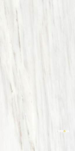 ORIGINES OMBRE DOREE MATTE 24" X 48" - ELYTIL1789 - 14
