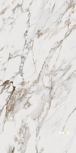 INDULGE POLISHED 24" X 48" - 8