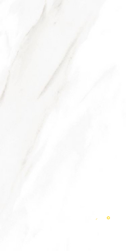 EC CALACATTA GOLD POLISHED 12" X 24" - ELYTIL1745 - 4