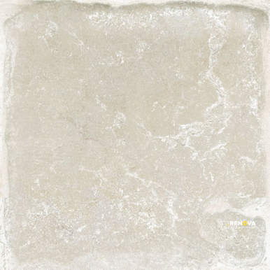OSTUNI AVORIO 8" X 8" - ELYTIL728 - 4
