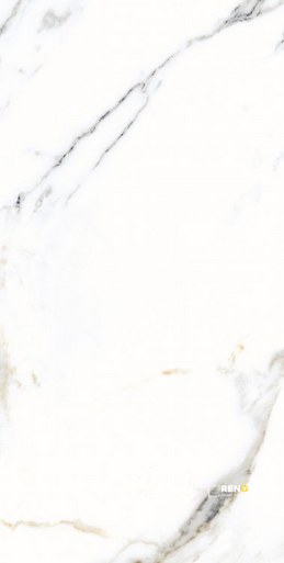 AGL APPIA ORANGE MATTE 12" X 24" - 3