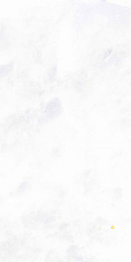 ARCHISALT FLOWER OF SALT LUX 12" X 24" - 4