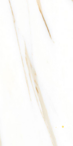 AGL CALACATTA GOLD POLISHED 12" X 24" - 2