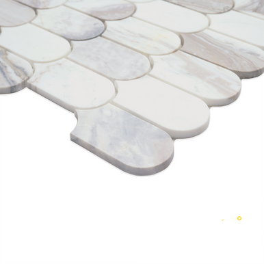 EDESSA SCALLOP POLISHED MOSAIC - 3
