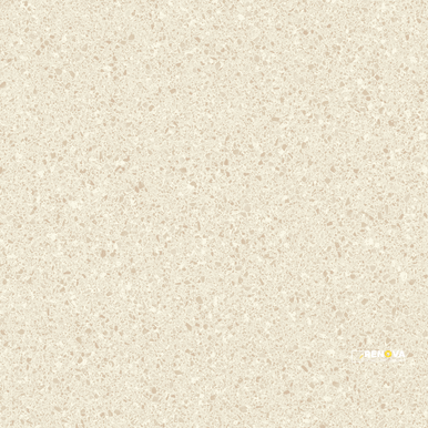 CROSSVILLE ALASKA BONE 24X24 FIELD UNPOLISHED