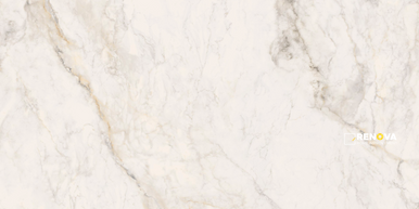 PORTOBELLO APUANO ORO 12X24 FIELD RECTIFIED NATURAL - 2