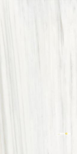 ORIGINES OMBRE DOREE MATTE 24" X 48" - ELYTIL1789 - 11