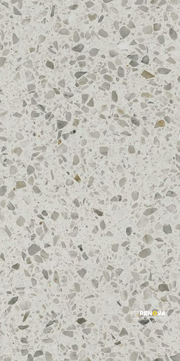 VENEZIANE CASTELLO LUCIDO 24" X 48" - 5