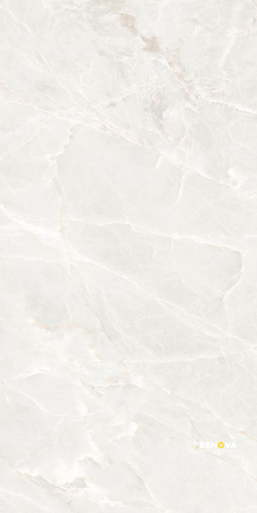 BRASILIA WHITE MATTE 24" X 48"