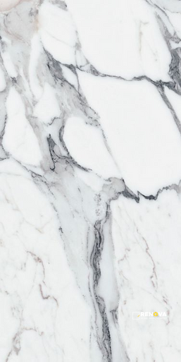 ORIGINES ARGENT MATTE 24" X 48" - 9