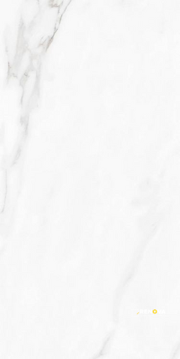 CARENZA BIANCA POLISHED 12" X 24" - 5