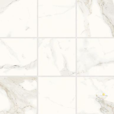 MAGNIFICA ERA CALACATTA SUPER WHITE HONED MOSAIC 4" X 4" - 2