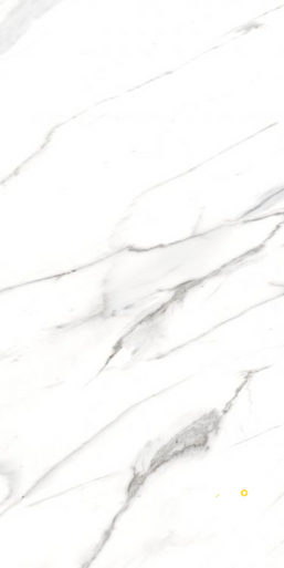 AGL CARRARA MATTE 24" X 48" - ELYTIL2553 - 2