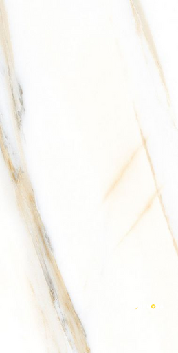 AGL CALACATTA GOLD MATTE 24" X 48" - ELYTIL2554 - 2