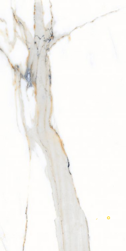 AGL APPIA ORANGE POLISHED 12" X 24" - 3