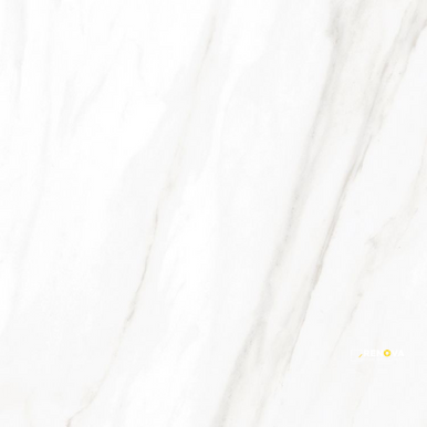 EC CALACATTA GOLD POLISHED 24" X 24" - ELYTIL1746 - 6