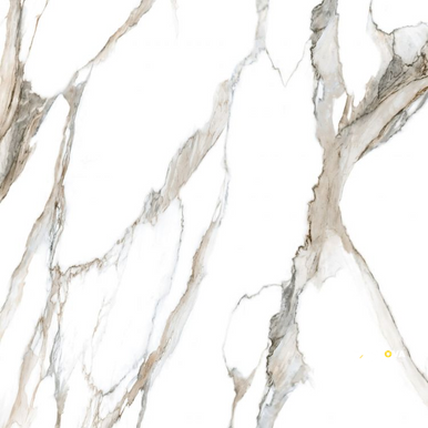 CALACATTA FANTASY TOPO POLISHED 48" X 48" - 6