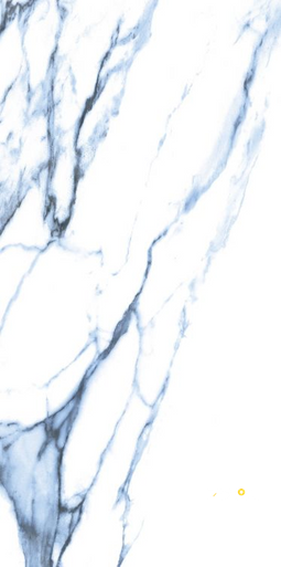 CALACATTA BLUE POLISHED 12" X 24" - 5