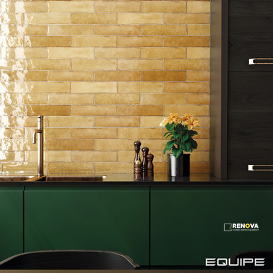 EQUIPE TRIBECA POLLEN 2-1/2X10 FIELD GLOSS - 4