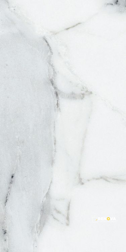 ORIGINES ARGENT MATTE 12" X 24" - 10