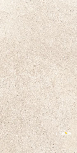 TUNE IVORY 12" X 24" - 3