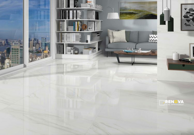 EC CALACATTA GOLD POLISHED 24" X 24" - ELYTIL1746 - 3