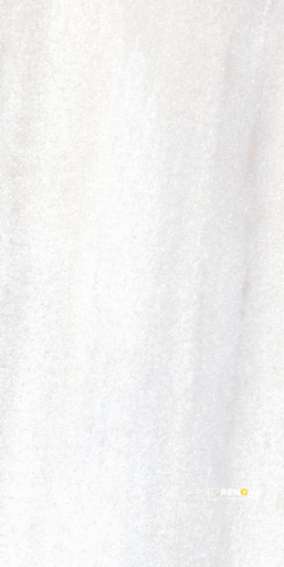 BRUCE MATTE 12" X 24"