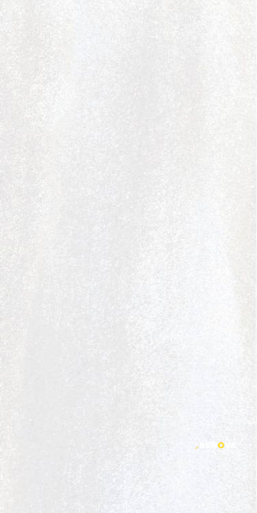 BRUCE MATTE 12" X 24" - 4
