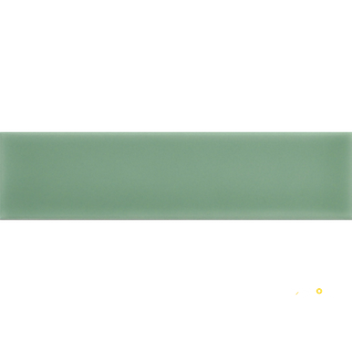 TRIVENI GLOSSY 2X8 - 2