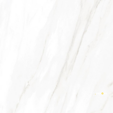 EC CALACATTA GOLD MATTE 24" X 24" - ELYTIL1744 - 5