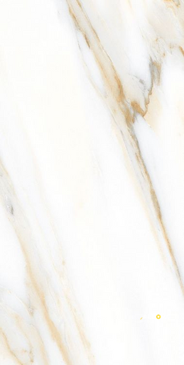 AGL CALACATTA GOLD POLISHED 24" X 48" - ELYTIL2570 - 2